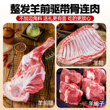 祁连天宝 半只羊8斤滩羊肉新鲜羊前腿羊肋排羊蝎子羊前驱整发生鲜火锅食材