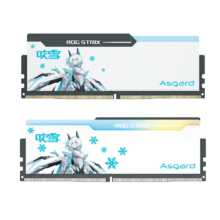 阿斯加特（Asgard）16GB(8GBx2)套装 DDR4 3600 台式机内存 RGB灯条 吹雪联名款