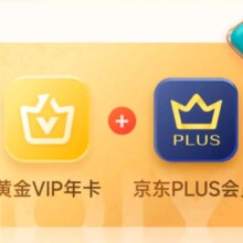 爱奇艺黄金VIP会员年卡+赠京东plus会员年卡