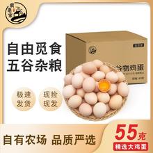 百亿补贴：我老家 国产牧场鲜土鸡蛋 55g 10/30枚