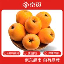 京觅 攀枝花米易枇杷 2斤 大果 单果40-50g 源头直发
