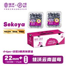 佳沃 云南蓝莓sekoya系列 22mm+巨无霸 4盒装 约125g/盒