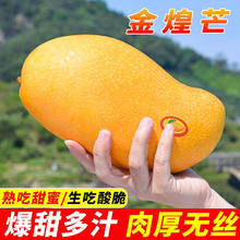 庾丰 广西 金煌芒芒果 净重9斤 单果200g+