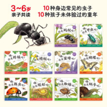 昆虫科普绘本原来虫虫这样长大套装全10册(绘本3-6岁阅读幼儿园儿童昆虫记科普故事）(中国环境标志产品绿色印刷)