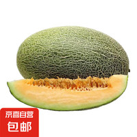 哈密瓜 精选1.5--2斤