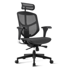 Ergonor保友金卓b2代人体工学椅电脑椅办公椅电竞椅 黑色网（尼龙椅脚）