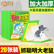 金大侠 粘鼠板老鼠贴超强力家用加大加厚捕鼠黏鼠板 20片装 20张装