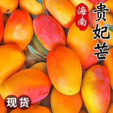 粤迎 海南贵妃芒果 现摘热带新鲜水果 5斤精选果 手挑老树 净4.5斤