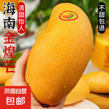 京喜 金煌芒果 海南新鲜水果 带箱5斤 中大果