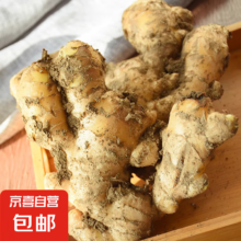 京东买菜老广味道现挖深山生姜新鲜月子姜自蔬菜调料小龙虾食材 深山现挖新鲜老姜 500g