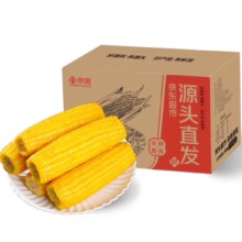 京觅东北玉米新鲜黄糯玉米 真空装4.5斤8-10穗源头直发