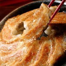WONDER'S QUALITY 海德福日式煎饺白菜猪肉290g/袋x2 28枚饺子蒸饺锅贴速食早餐生鲜