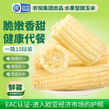 吉林省农投旗下品牌，田本部 水果玉米段 10段约1.7KG
