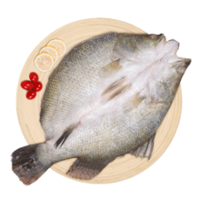 仙泉湖三去尖吻海鲈鱼1斤单条冷冻净膛金目鲈肉厚 海鲜水产 生鲜食材