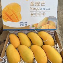 特大果 海南金煌芒 5斤装 单果400-600克