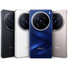 vivo X200 Pro 12+256