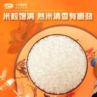 十月稻田 SHI YUE DAO TIAN 东北长粒香大米 5kgx2袋