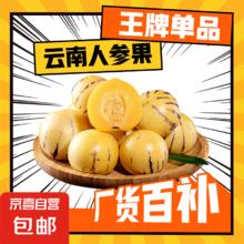 云南石林人参果野生小金蛋人生果4.99包邮 带箱2斤 单果30g起