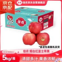 Goodfarmer 佳农 烟台红富士苹果 10斤装 单果重190g以上