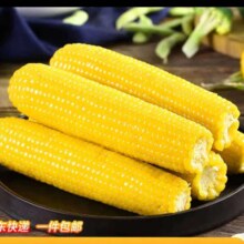【京东快递】东北黄糯玉米 黄糯玉米220g*8