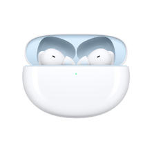 OPPO Enco Free2i 入耳式真无线动圈主动降噪蓝牙耳机 浮云