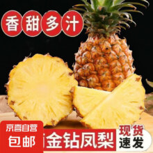 正宗海南金钻凤梨当季新鲜水果手撕凤梨无眼爆汁超甜整箱批发 带箱2斤小果 单果900g+
