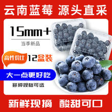 鲁禧 云南蓝莓 新鲜现摘 共400g/4盒装 大果15mm+（京东速递）