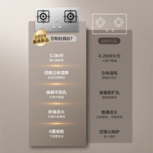 万和（Vanward）国家补贴20% 液化气燃气灶具 煤气炉双灶 不锈钢嵌入式4.5kW家用猛火 一级能效家电以旧换新 B7B53