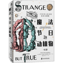 魔法 节日 动植物 一些奇异文化传统的历史渊源