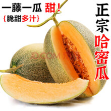 粤迎正宗海南哈密瓜 4.5-5斤精选装【单果600g+】
