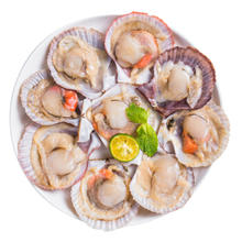 鲜京采 鲜活大美贝 5斤 每斤15-20粒