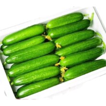 微信小程序：山东寿光水果黄瓜生吃脆新鲜荷兰青瓜 5斤