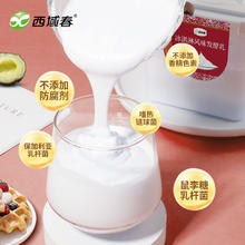 新疆特产西域春冰淇淋酸奶饭盒装2斤*2
