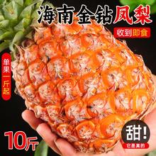 海南金钻凤梨新鲜水果应季手撕凤梨特产大果无眼包邮