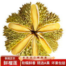 晨樾优选  泰国进口金枕头榴莲鲜果巴掌榴莲新鲜水果时令软糯金枕榴莲时精选净重3-4斤（包3-5房）