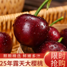 硕莓遂禧 山东大樱桃 当季新鲜水果 4.5斤(净重)  单果22-26mm
