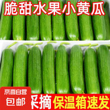 精品水果黄瓜 买一送一到手6斤