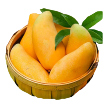 静羽金煌芒芒果 5斤装【单果150g+】净4.5斤