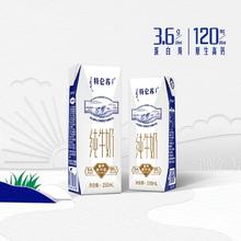 88VIP会员：特仑苏 纯牛奶 250ml*16盒*2箱