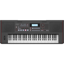 罗兰（Roland）E-X50 编曲电子琴专业舞台演出 成人演奏61键带自动伴奏键盘 E-X50 编曲键盘