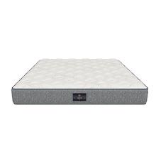 舒达 Serta 青少年系列 牛顿 儿童护脊床垫 23cm厚