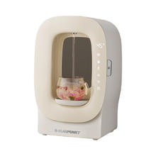 BLAUPUNKT 蓝宝 德国蓝宝 BLAUPUNKT熟水机即热式饮水机家用台式小型桌面速热直饮机饮水器