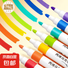 2人拼：奇莔 丙烯马克笔 12色