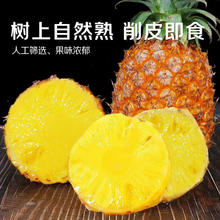 京鲜生 海南金钻凤梨 净重4.5-5斤中果单果650g券后18.6元