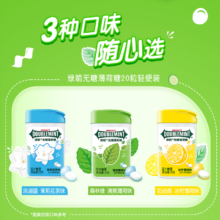 绿箭 便携装薄荷糖无糖 约20粒 6件19.3元（需领券，合3.22元/件）
