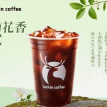 瑞幸咖啡 茉莉花香美式 大杯 15天有效 限自提8.9元（省钱卡券后6.9）