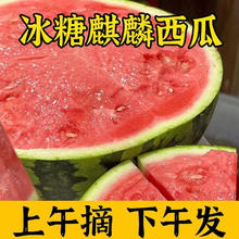 水果蔬菜 麒麟西瓜 6-8斤