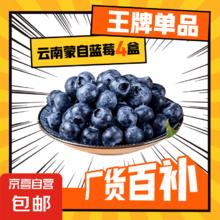 蒙自蓝莓18mm+4盒