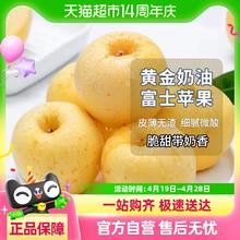 88VIP会员：other 山东 烟台 奶油富士苹果 4.5斤