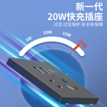 国际电工暗装86型20W快充USB插座开关面板墙壁手机充电Type-c家用五孔 五孔20W快充USB+typeC（白色）